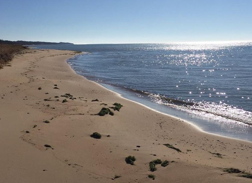 Playa Foto