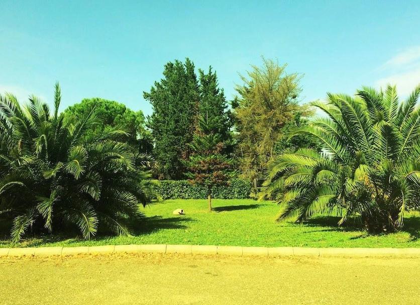 Vista del exterior Foto