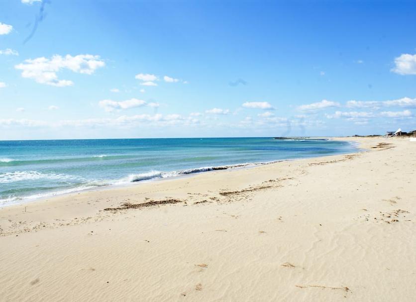 Playa Foto