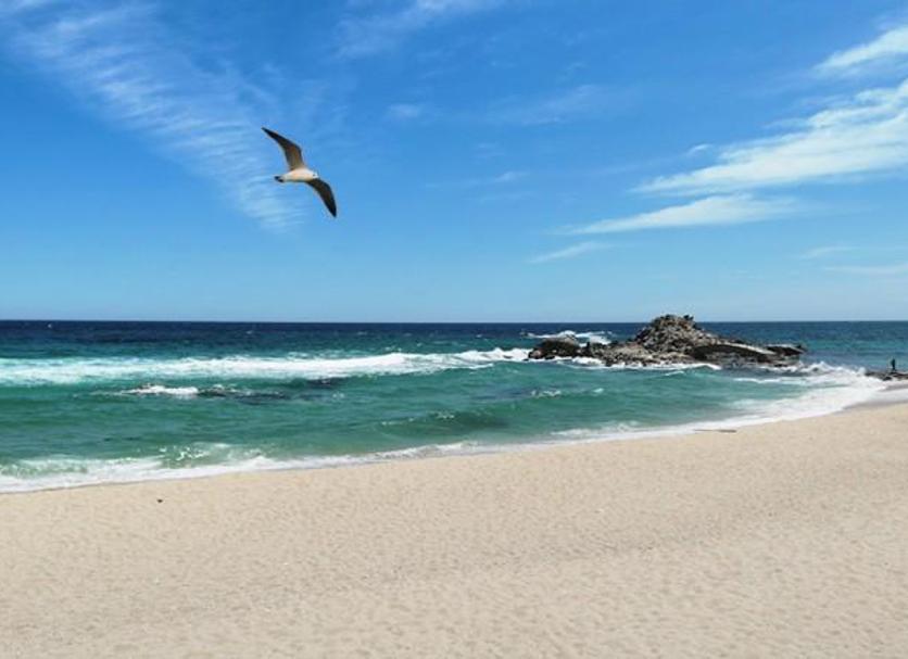 Playa Foto