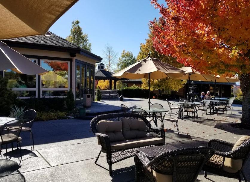 Patio Foto