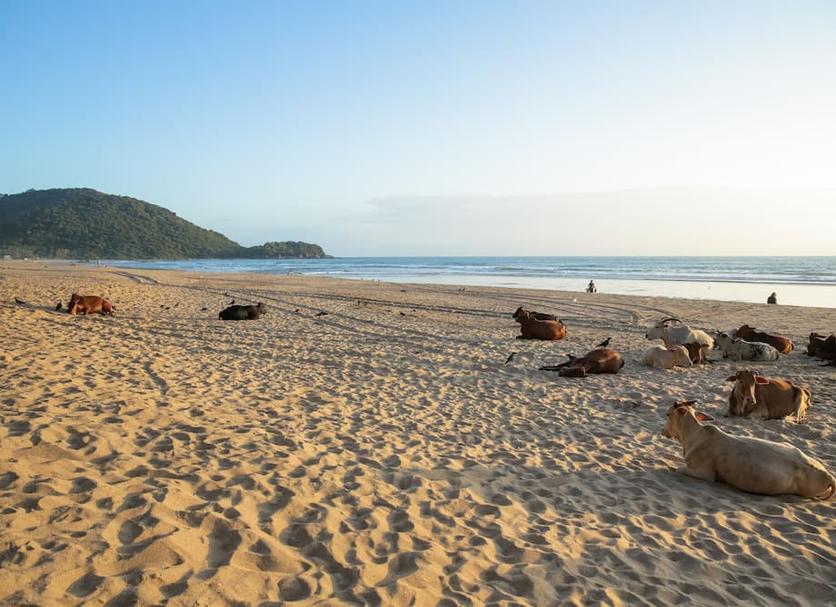 Playa Foto