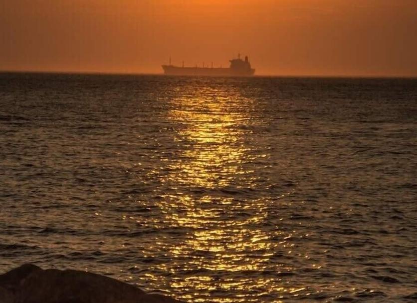 Otros Foto
