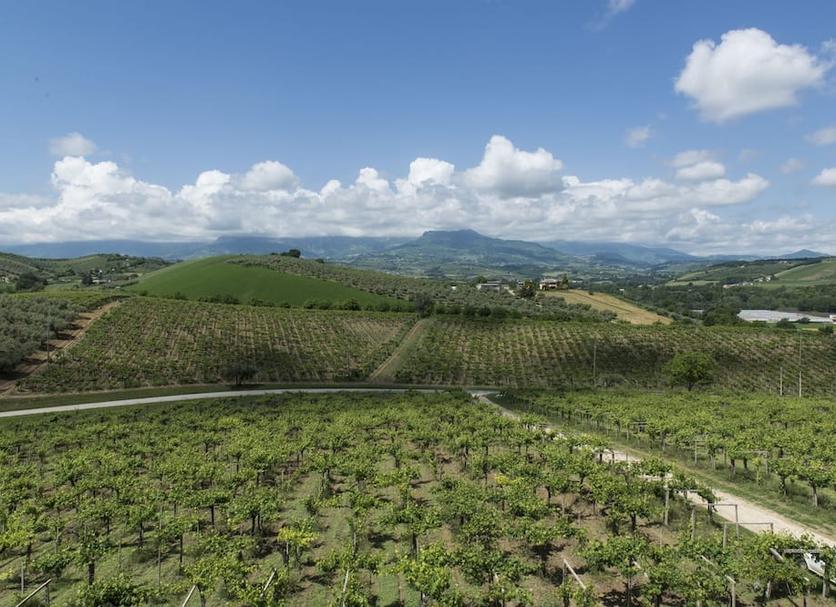 Vista del exterior Foto