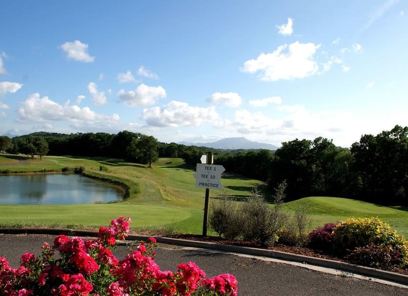 Campo de Golf Foto