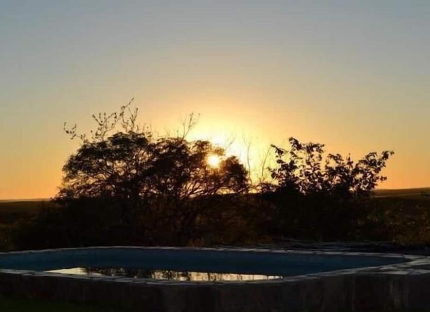 Otros Foto