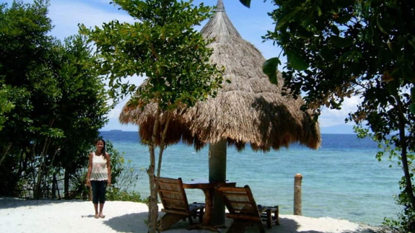 Sea Turtle House