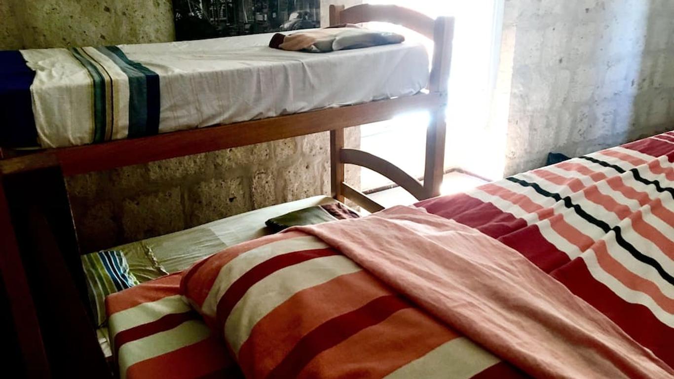 Lion Aqp Hostel