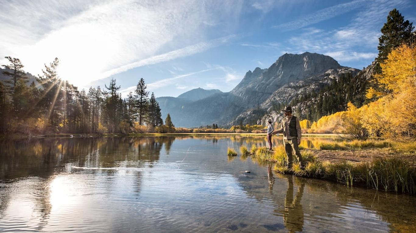 Mammoth Sierra