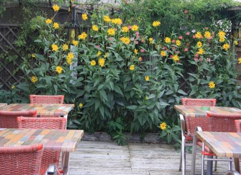 Patio Foto