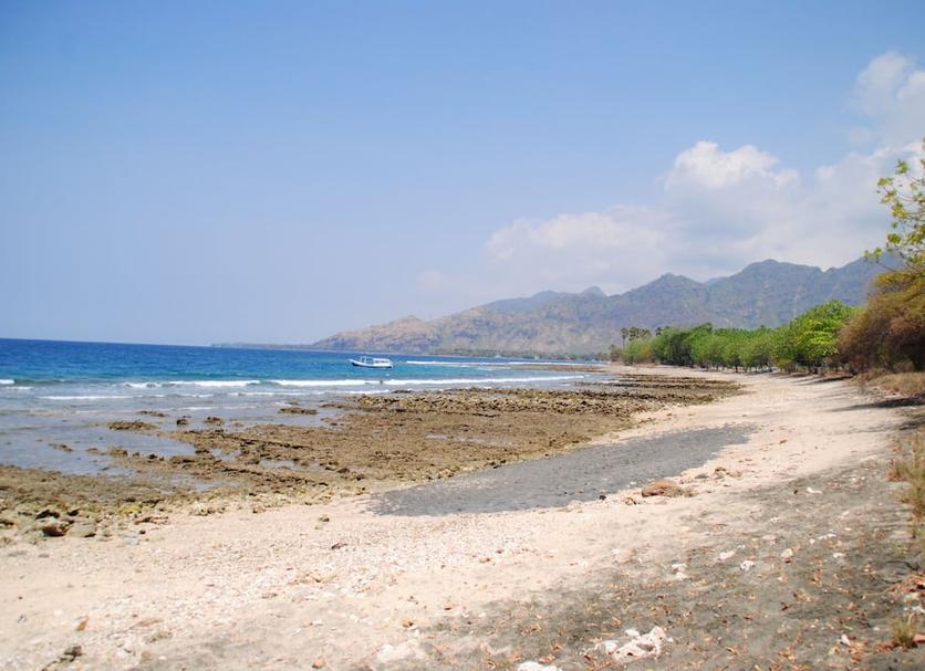 Playa Foto