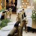 Sala de banquetes