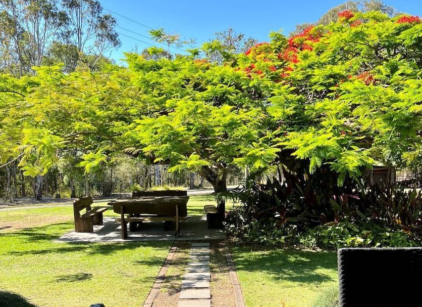 Patio Foto