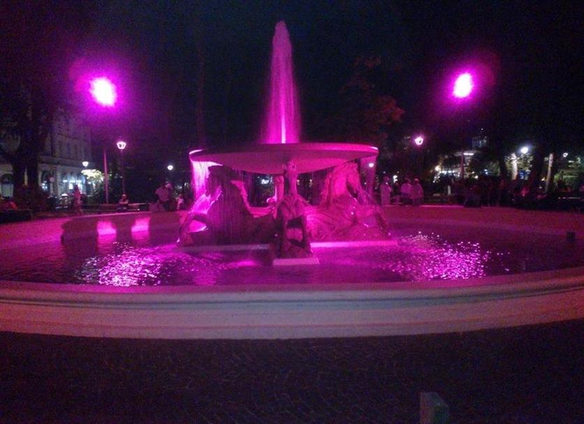 Otros Foto