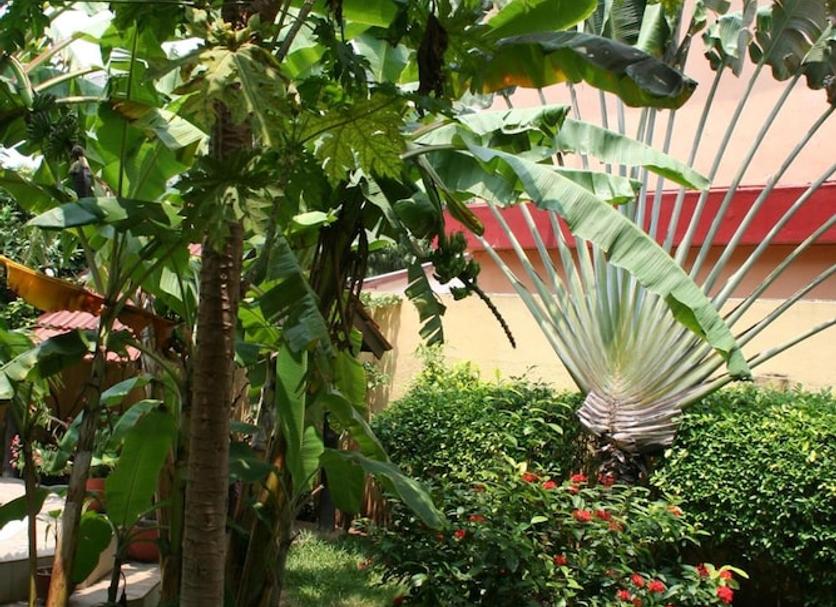 Vista del exterior Foto