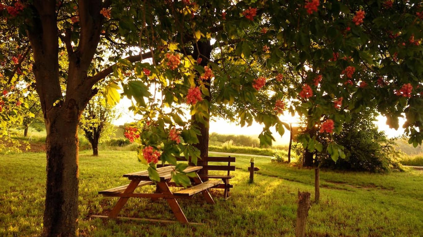 Cascina Alberta