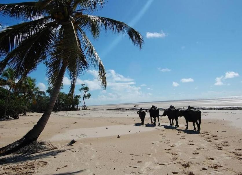 Playa Foto