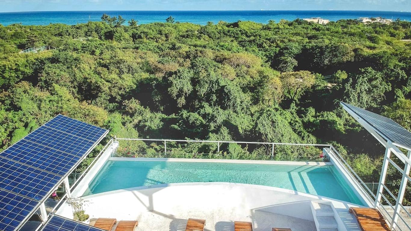 Ocean Zen Suites on 5th Avenue - Adults Only