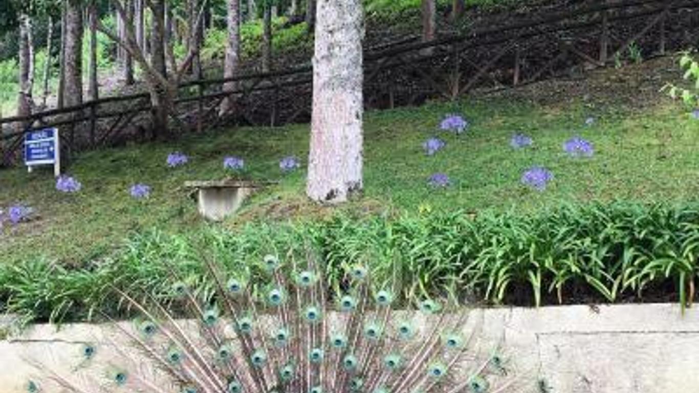 Hotel Fazenda Monte Verde Golf & Resort