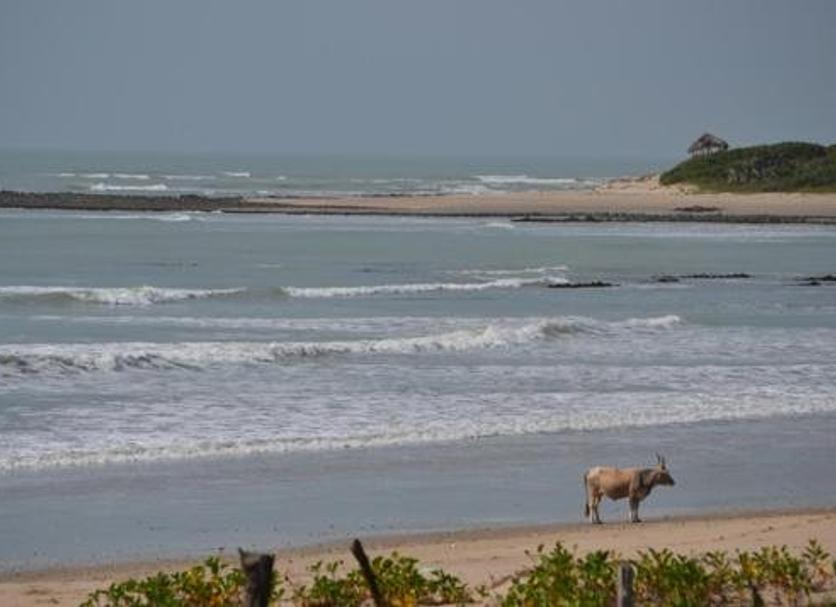 Playa Foto
