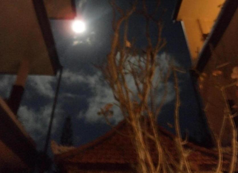 Otros Foto