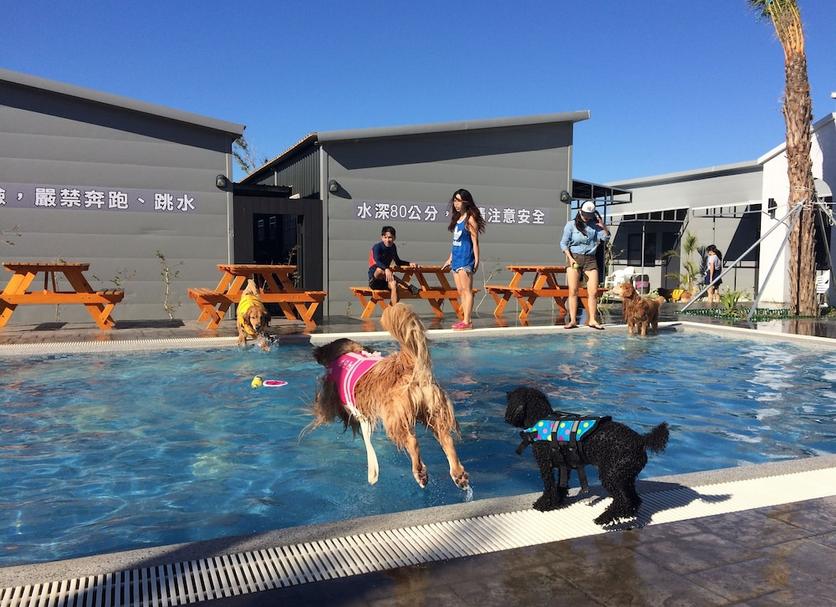 Piscina Foto