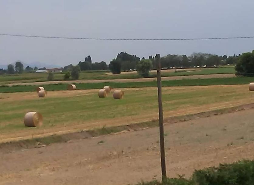 Otros Foto