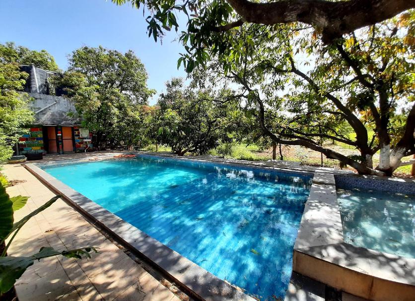 Piscina Foto