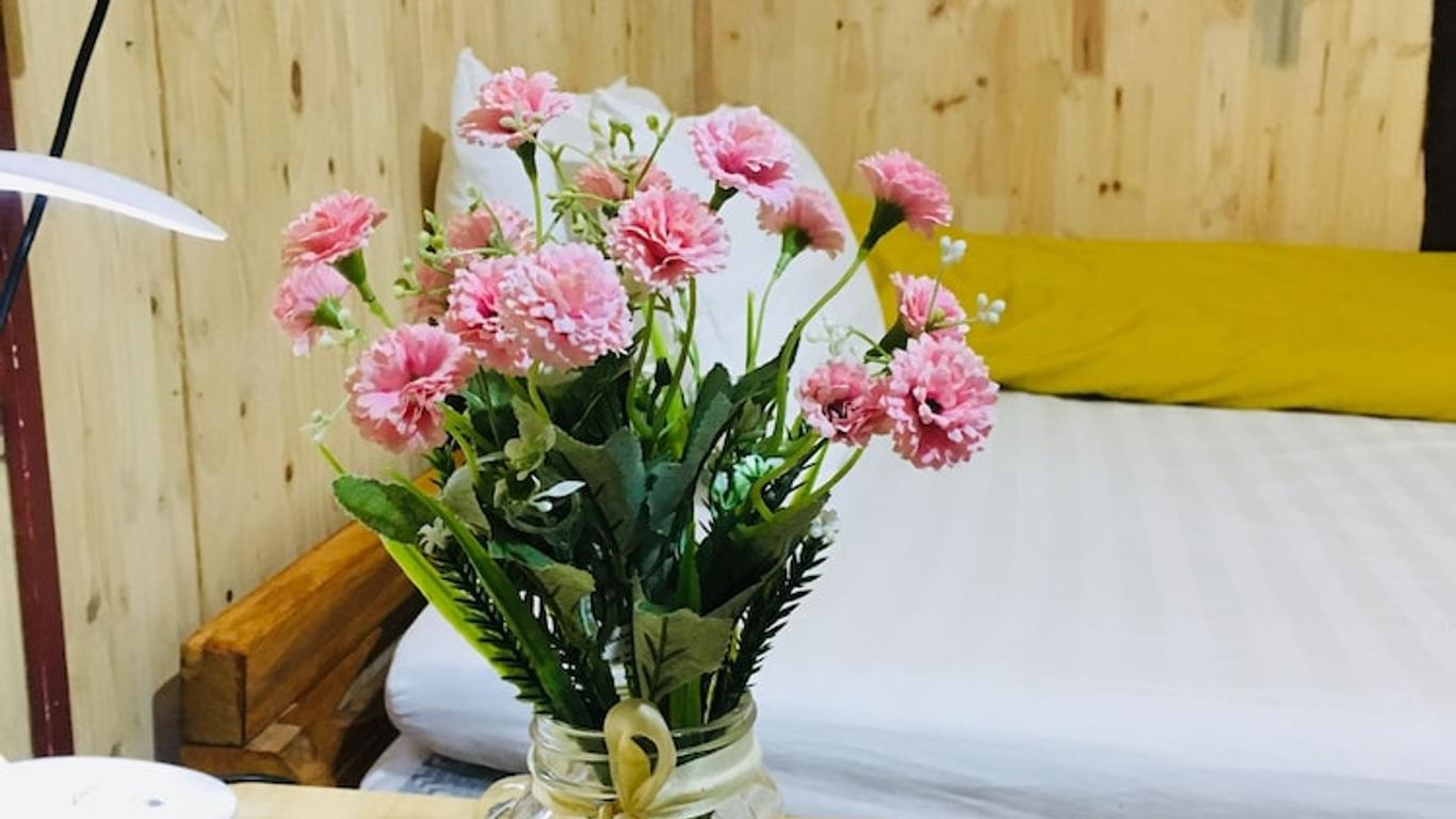Green Hill Hostel & Tour