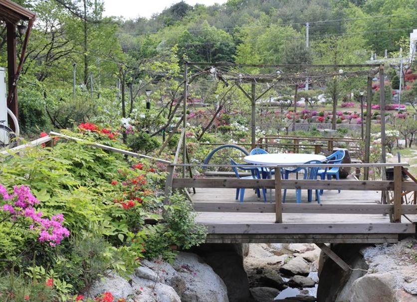Patio Foto