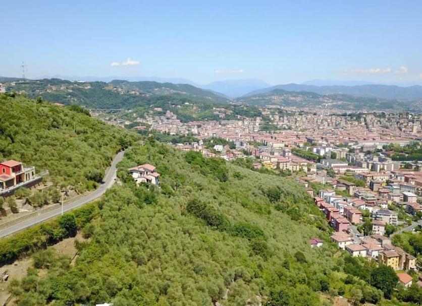 Vista del exterior Foto