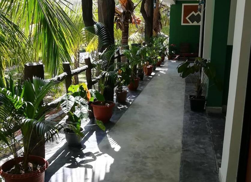 Vista del exterior Foto