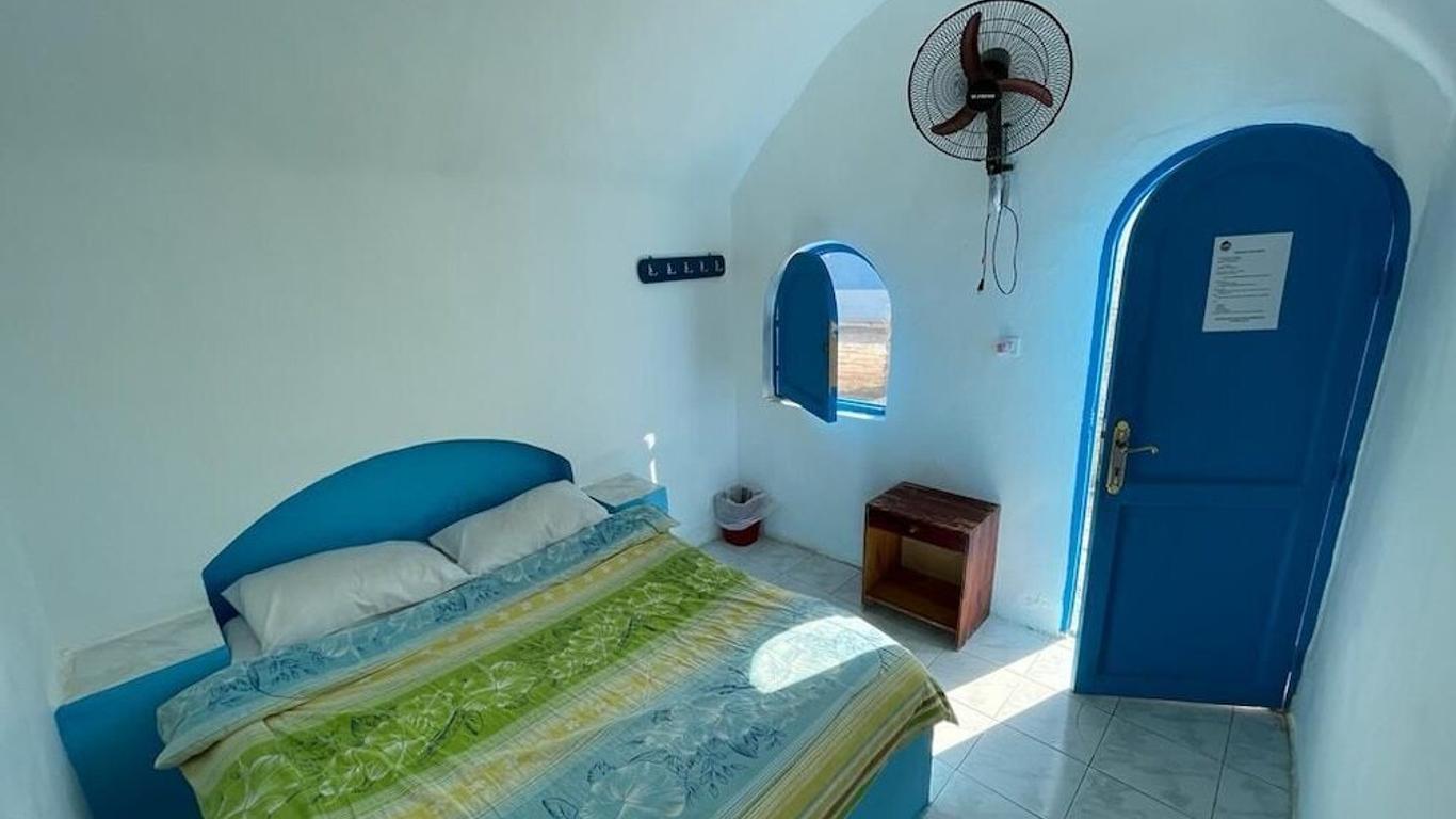 Dolphin Camp