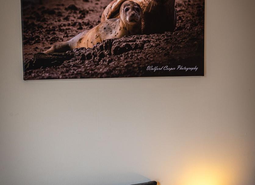 Servicio de la habitación Foto
