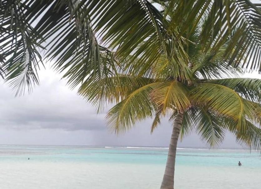 Playa Foto