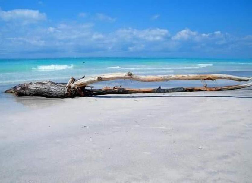 Playa Foto