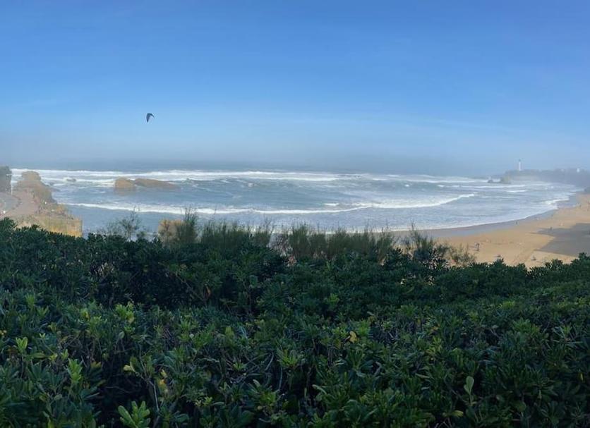 Vista del exterior Foto