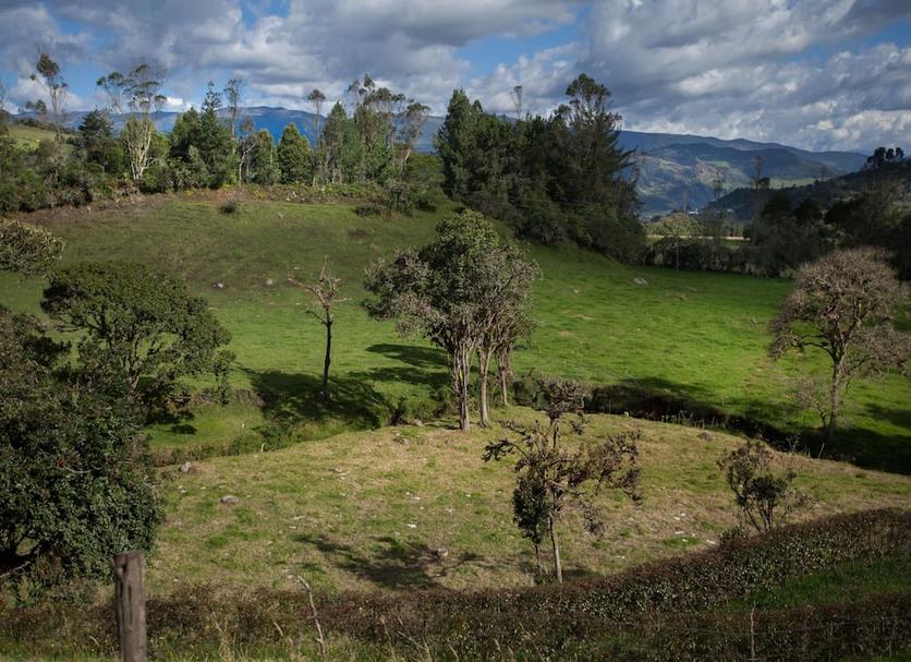 Vista del exterior Foto