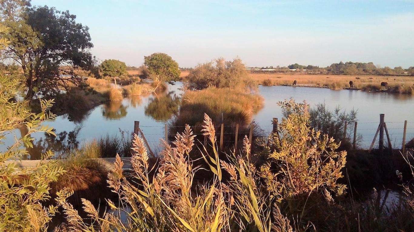 La Nanou'che (roulotte en Camargue)