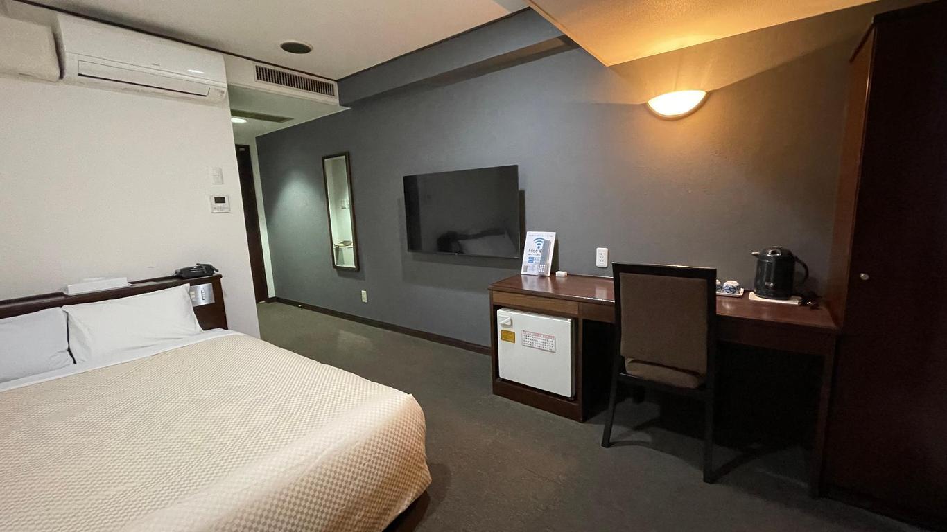 Hotel Delsol