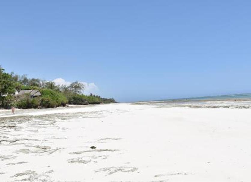 Playa Foto