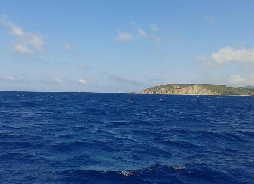 Otros Foto