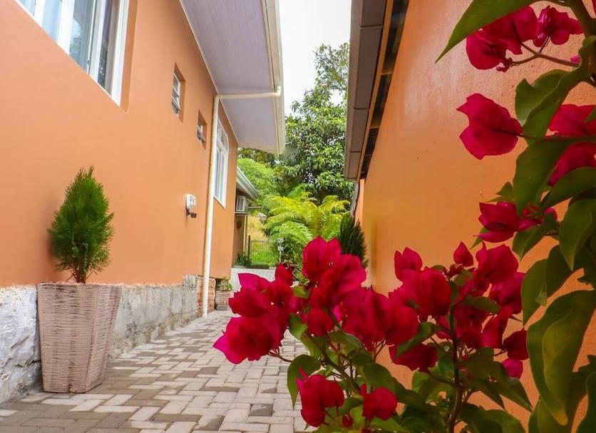 Vista del exterior Foto