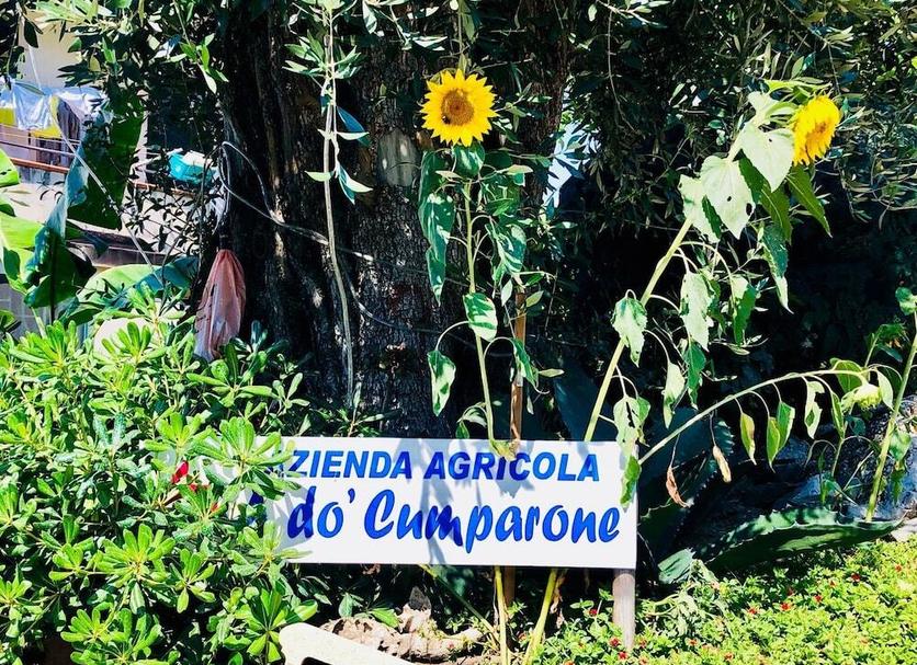 Otros Foto