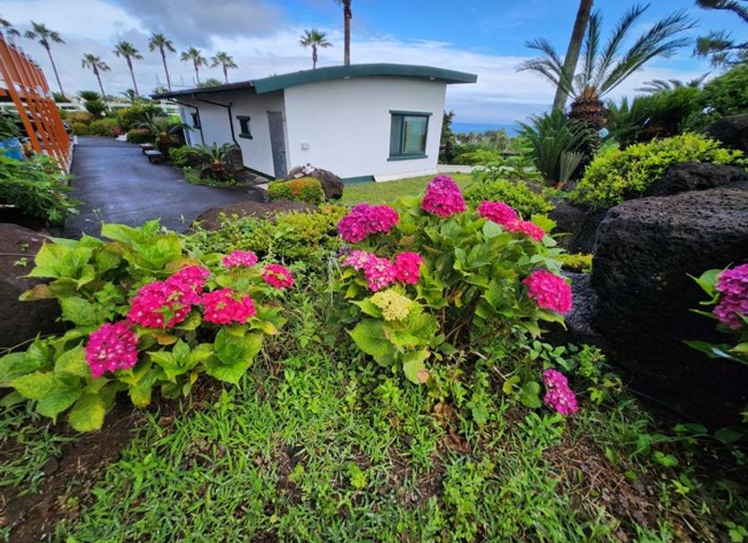 Vista del exterior Foto