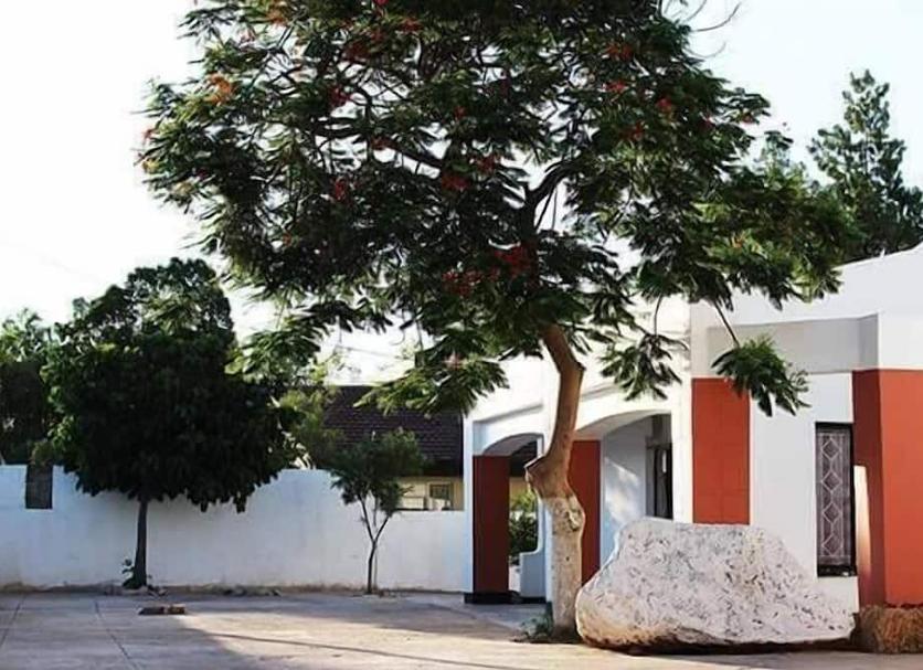 Vista del exterior Foto