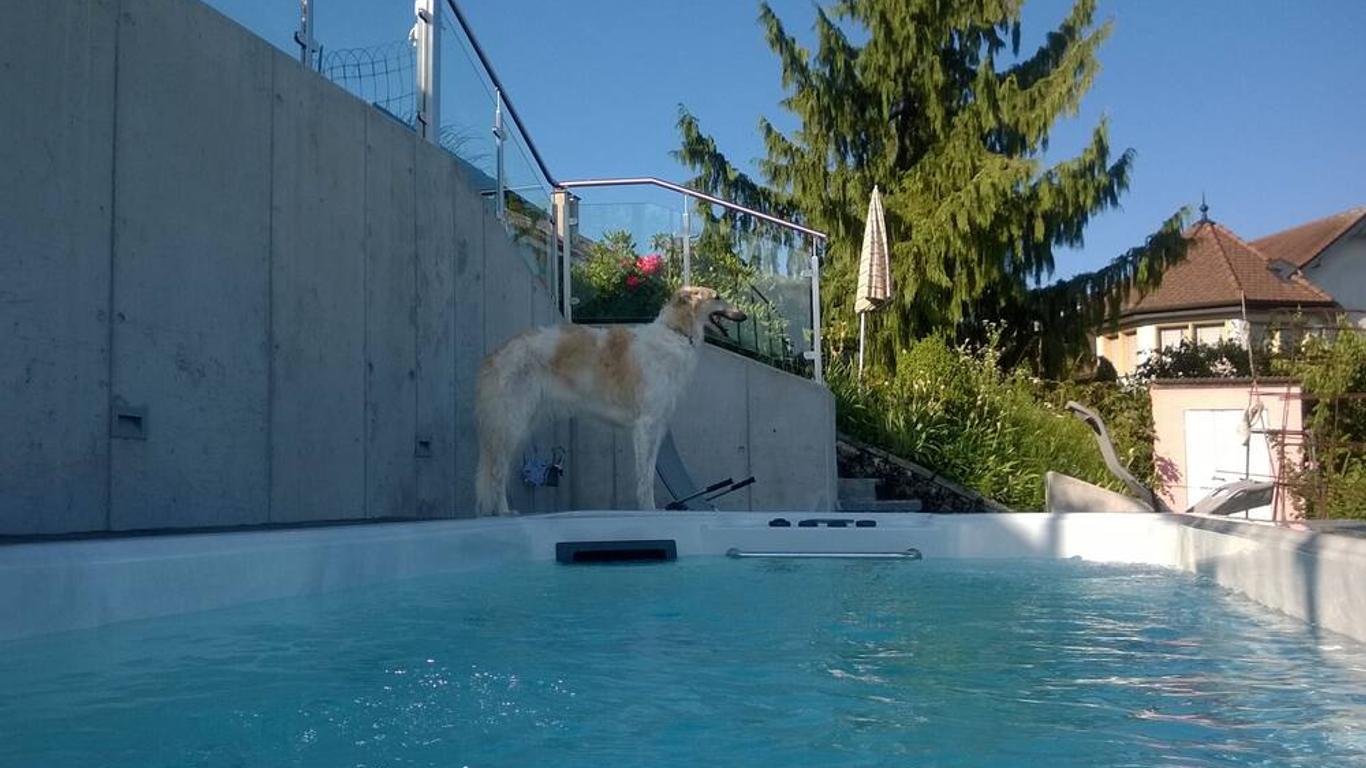Swiss Borzoi House