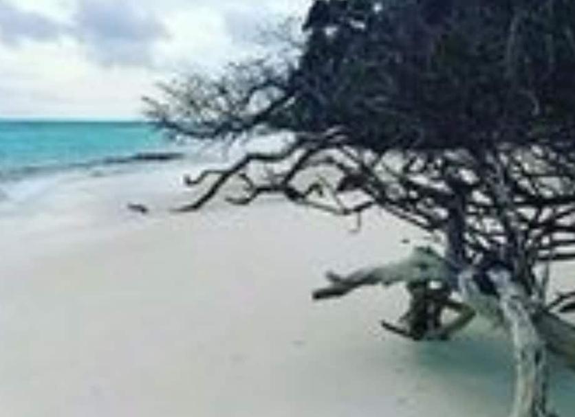 Playa Foto