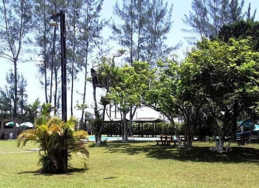 Vista del exterior Foto
