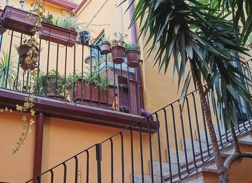 Vista del exterior Foto
